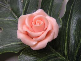 ITDA �\�[�v�J�[�r���O