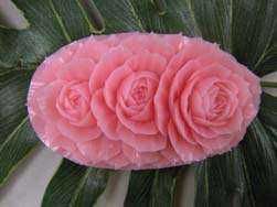 �\�[�v�J�[�r���O